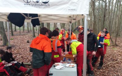 Semaine chantier-école des terminales forêt