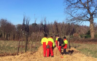Plantation d’un verger par les 1ères Bac pro forêt