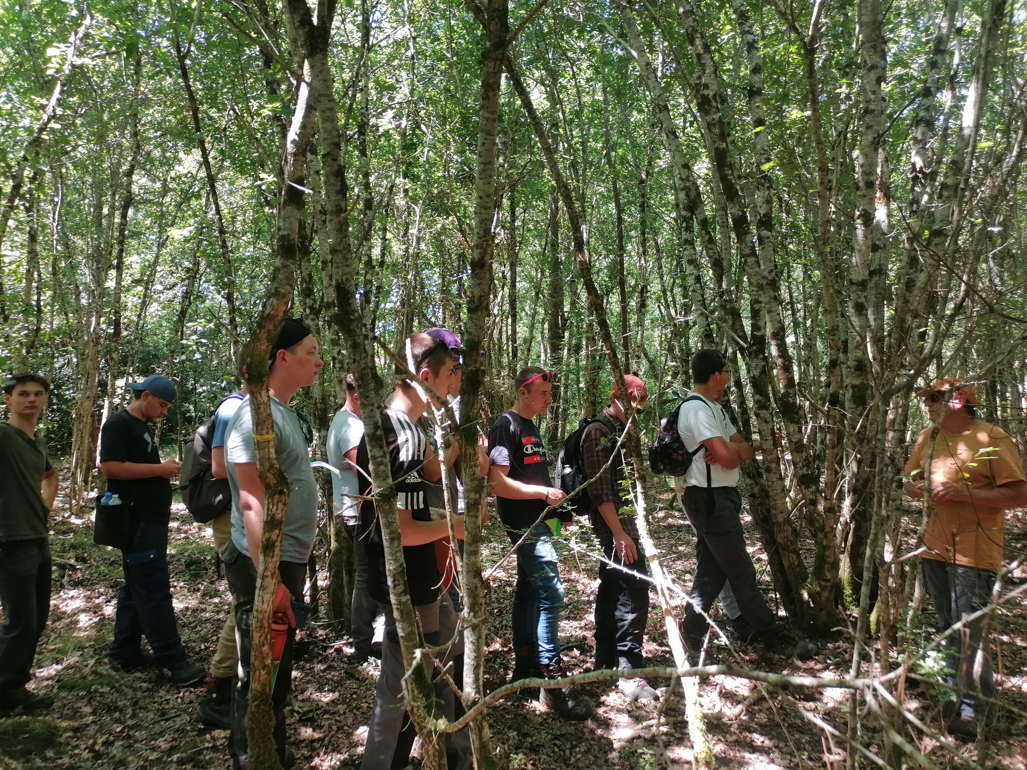 Tournée forestière du bac pro forêt