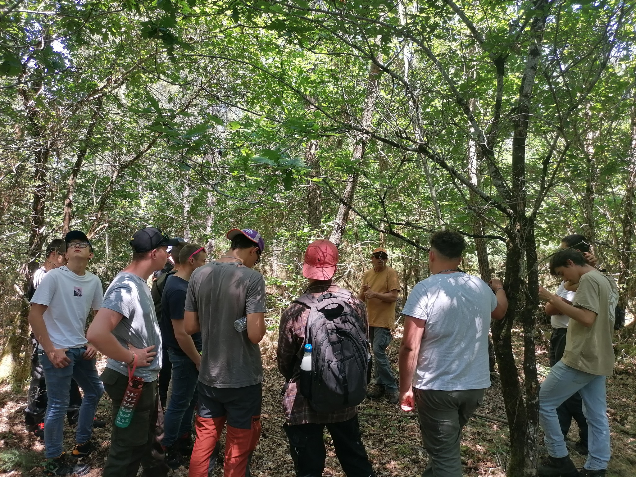 Tournée forestière du bac pro forêt