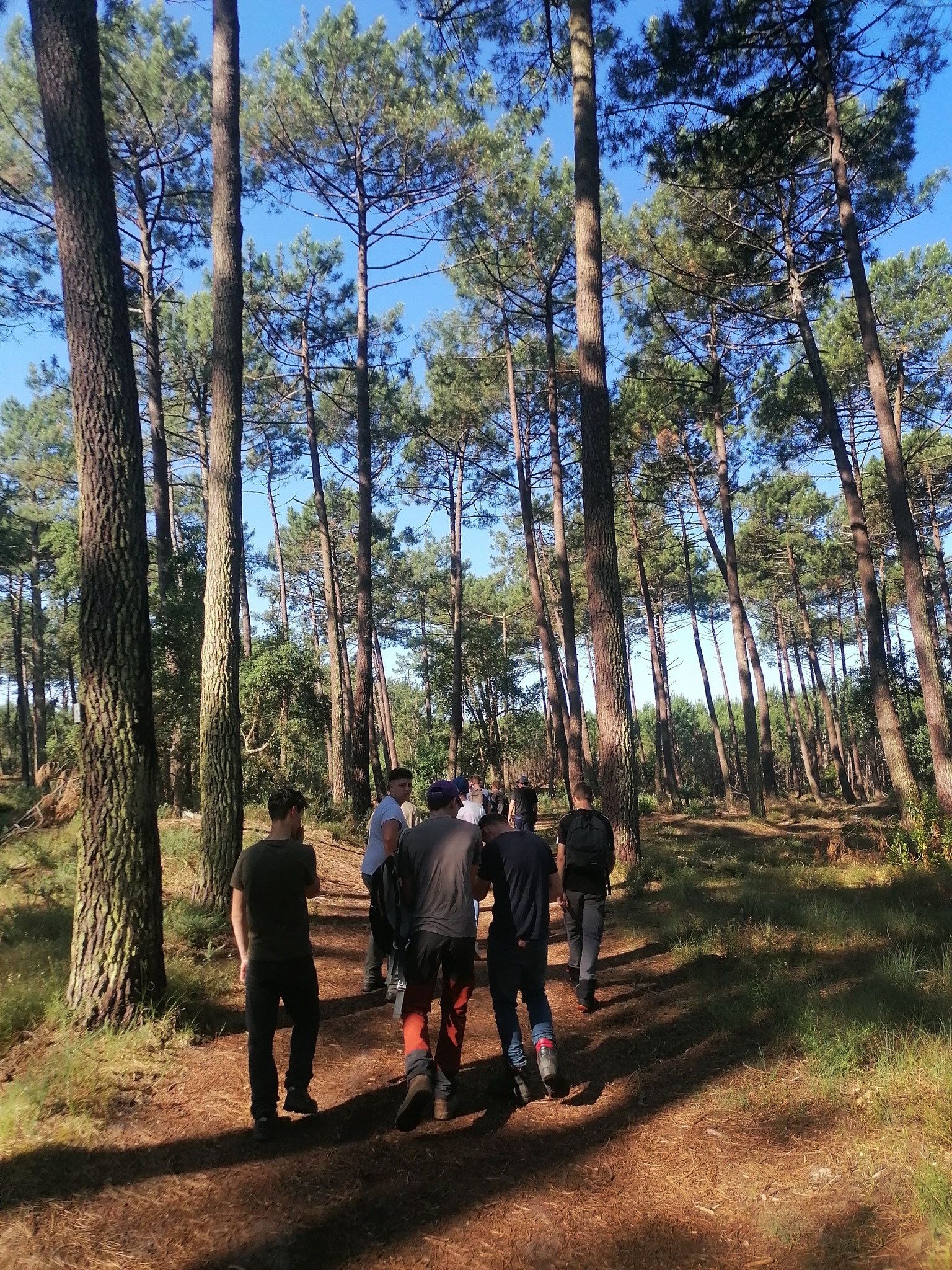 Tournée forestière des bac pro forêt