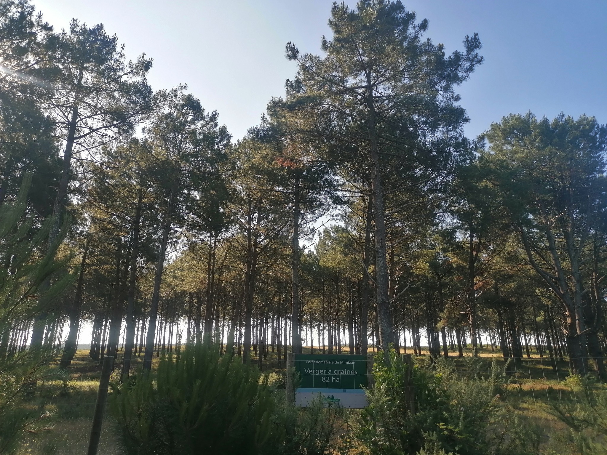 Tournée forestière des bac pro forêt