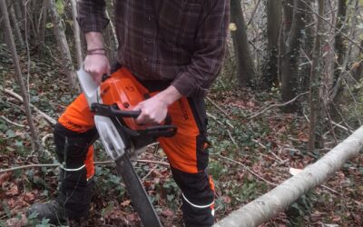 Chantier forestier des terminales : marquage et éclaircie à Saint-Ouen-sous-Bailly