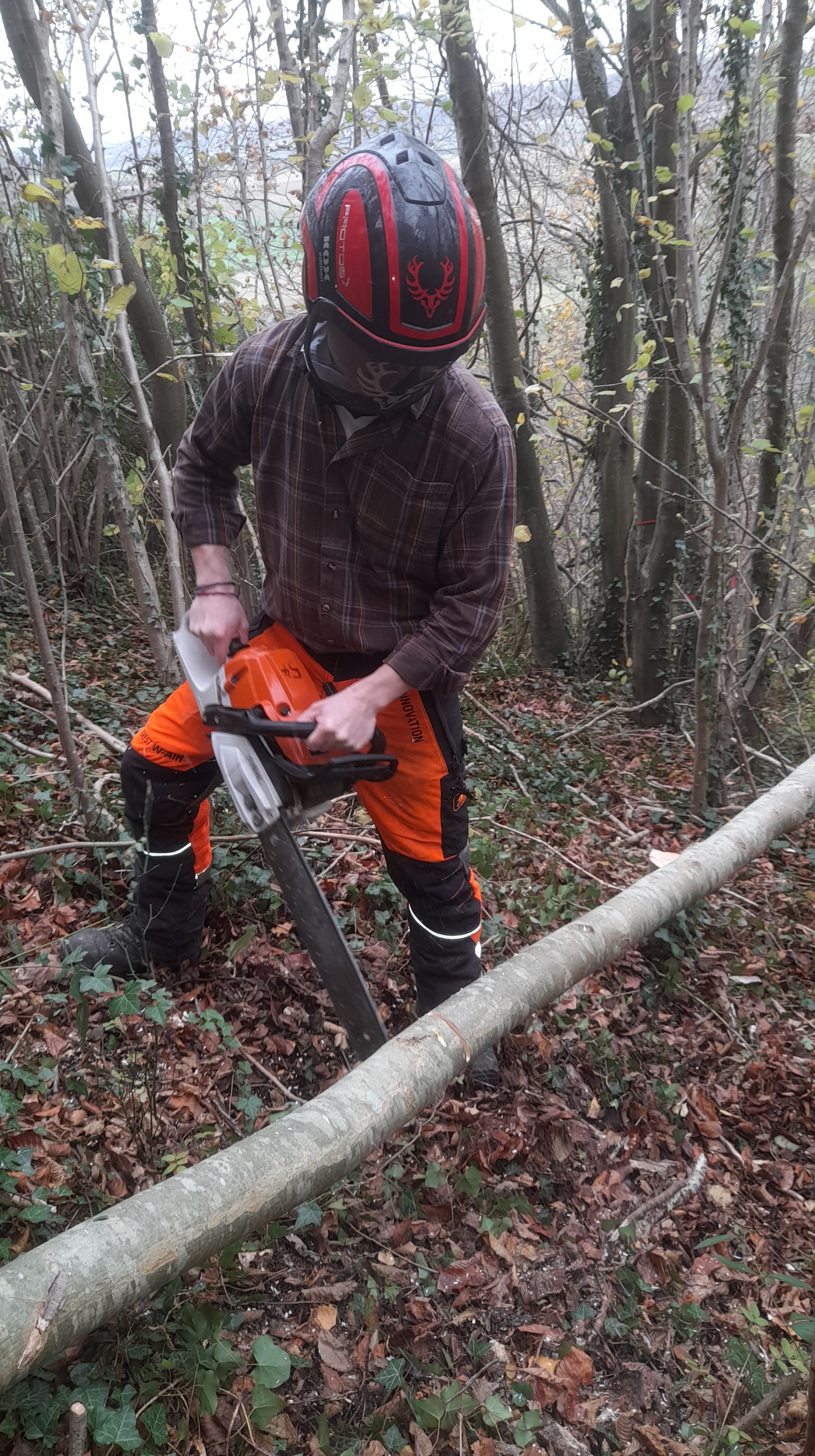 CHANTIER DES ELEVES DU BAC PRO FORET