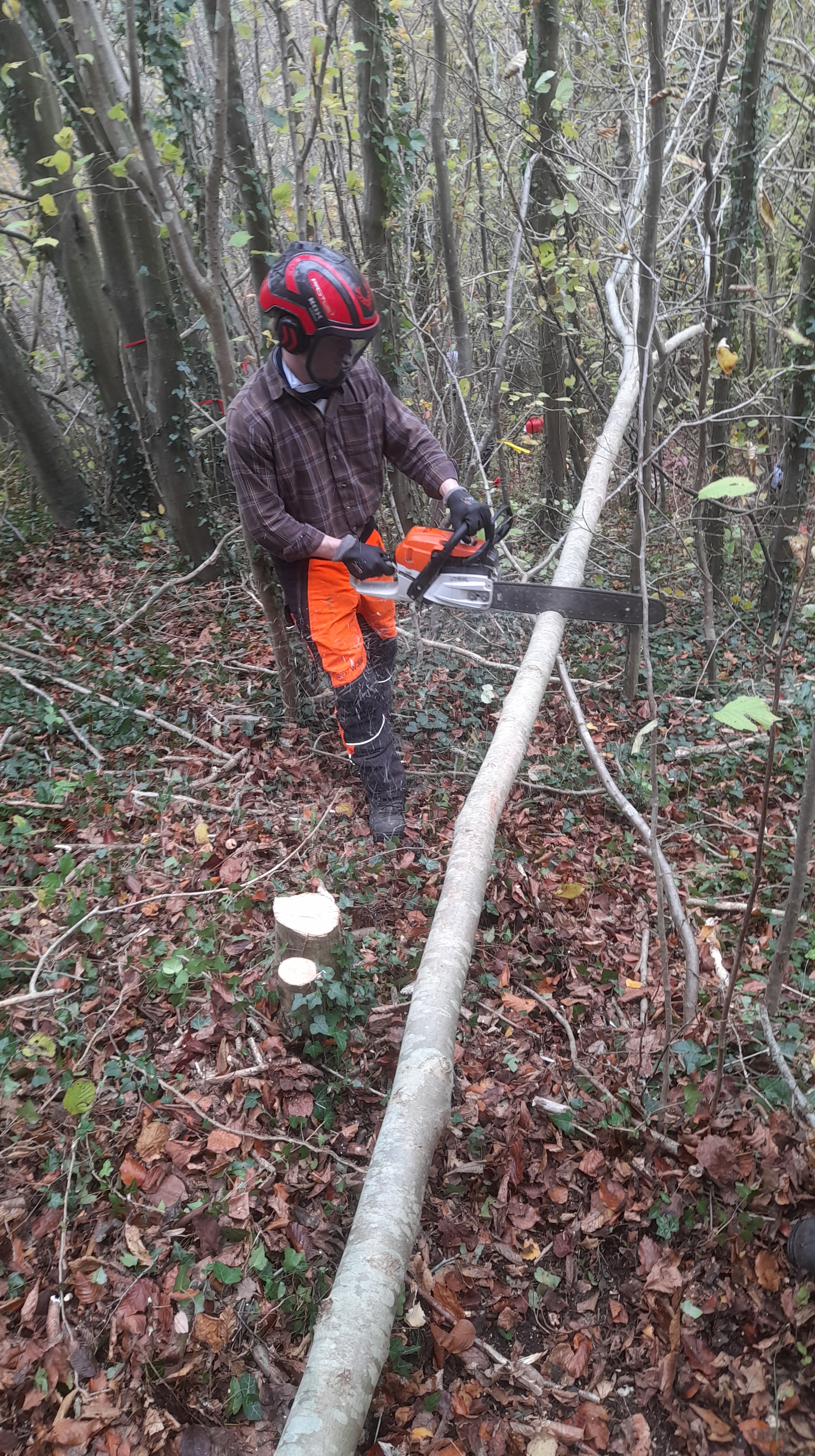 CHANTIER DES ELEVES DU BAC PRO FORET
