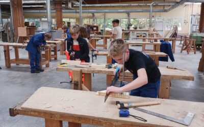 Découverte des Gestes Métiers : Taille à Mi-Bois et Sciage de Précision