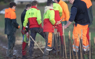 Plantation de haies par les élèves de Bac Pro Forêt