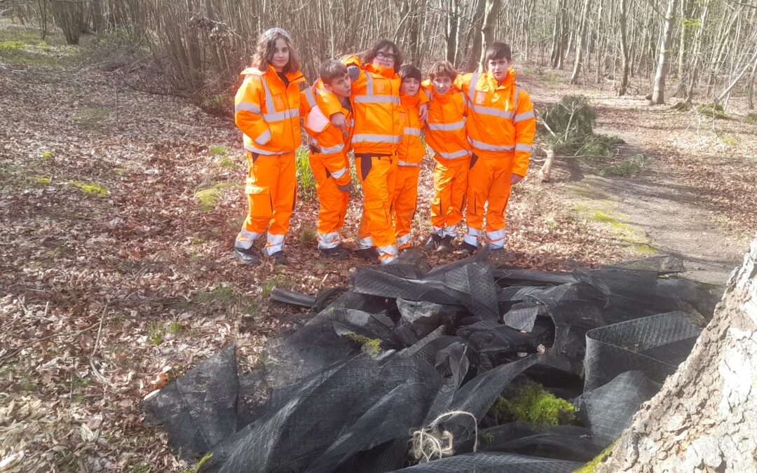 Mission forêt pour les 4èmes !