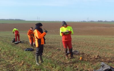 1 100 plants mis en terre par les élèves de Bac Pro Forêt