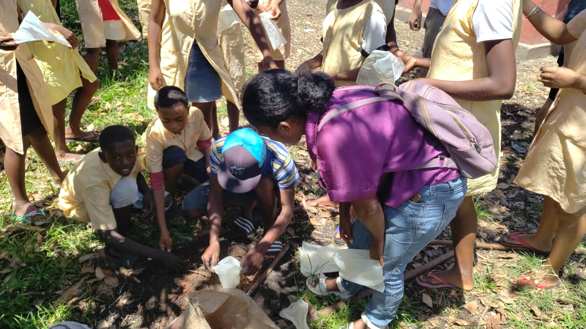 Erasmus Madagascar lycée du bois