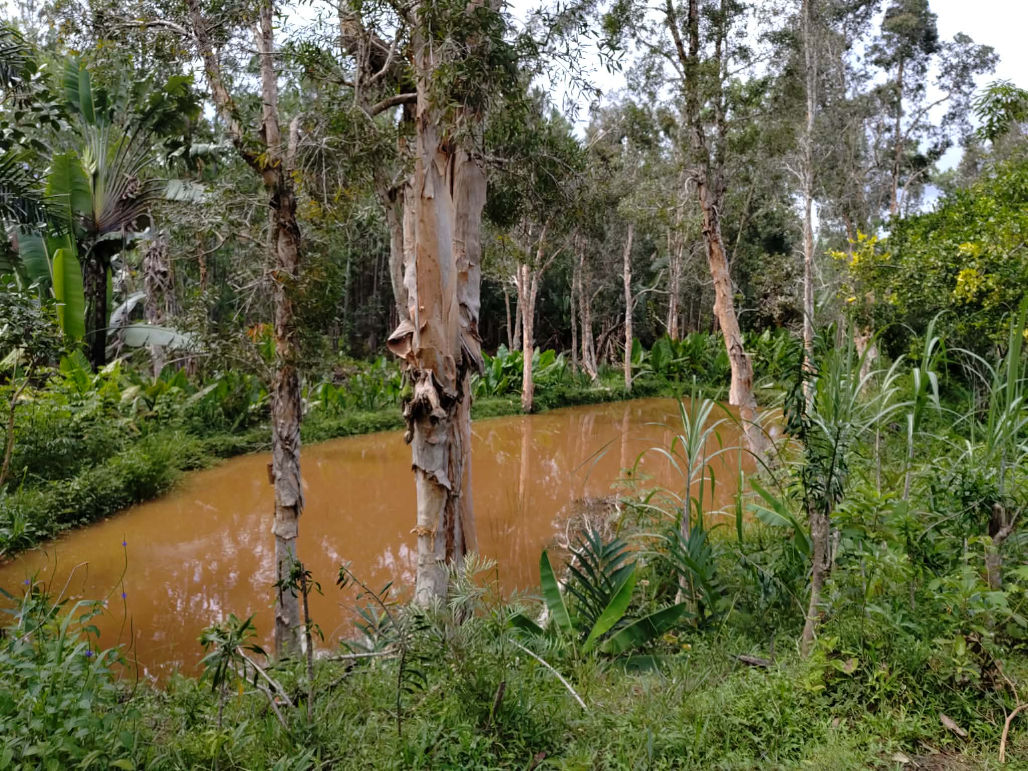 Erasmus Madagascar lycée du bois