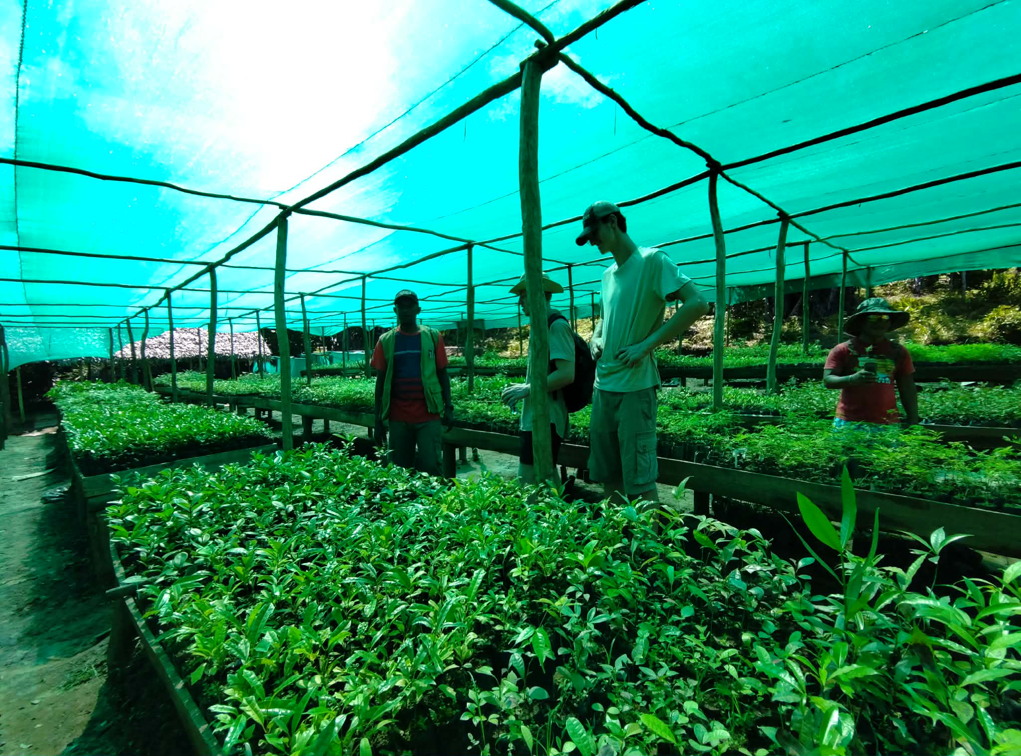 Erasmus Madagascar lycée du bois