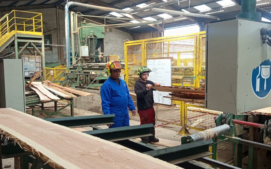 scierie du lycée du bois