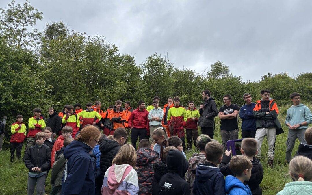 BAC PRO FORÊT