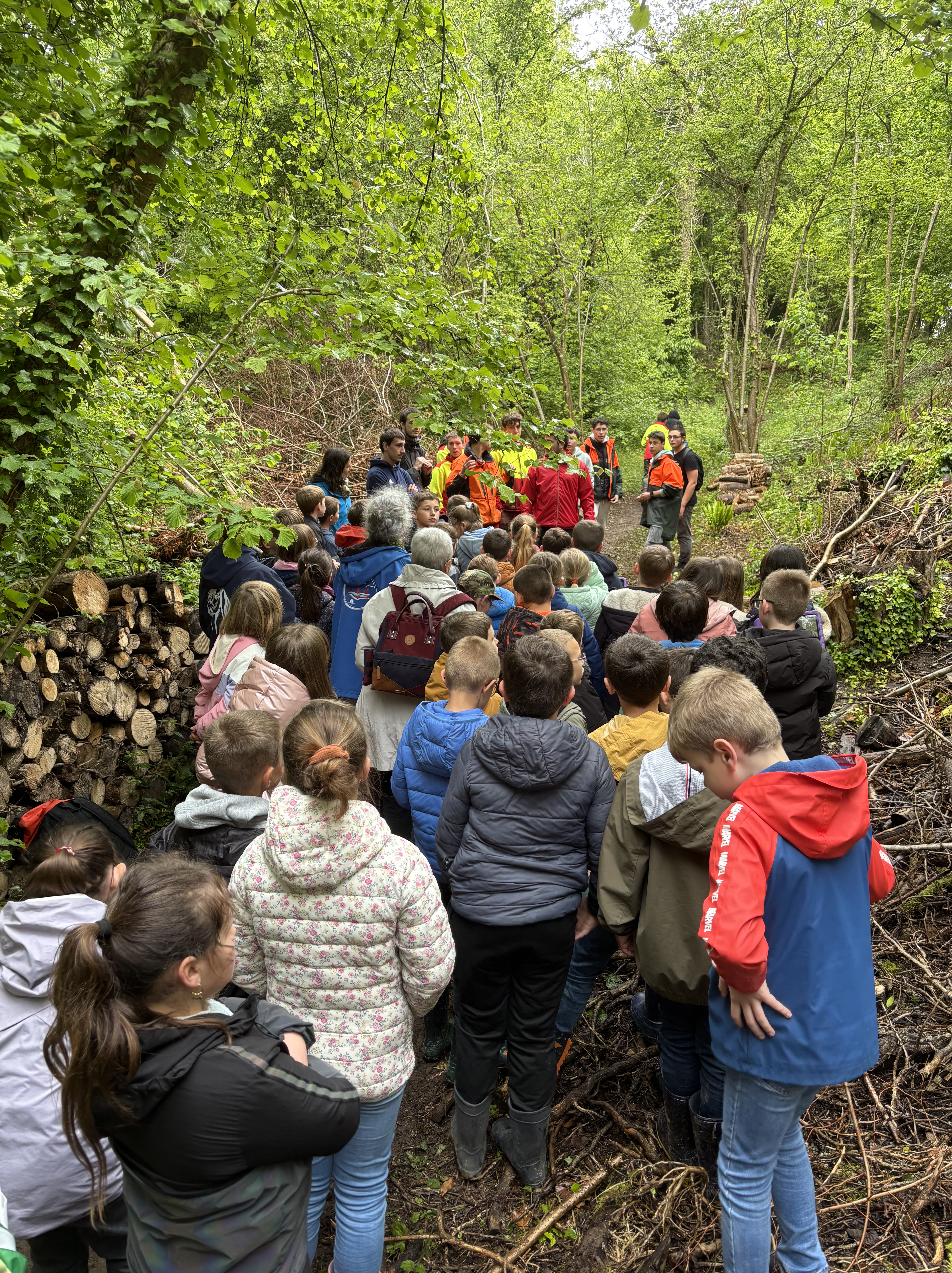 BAC PRO FORÊT