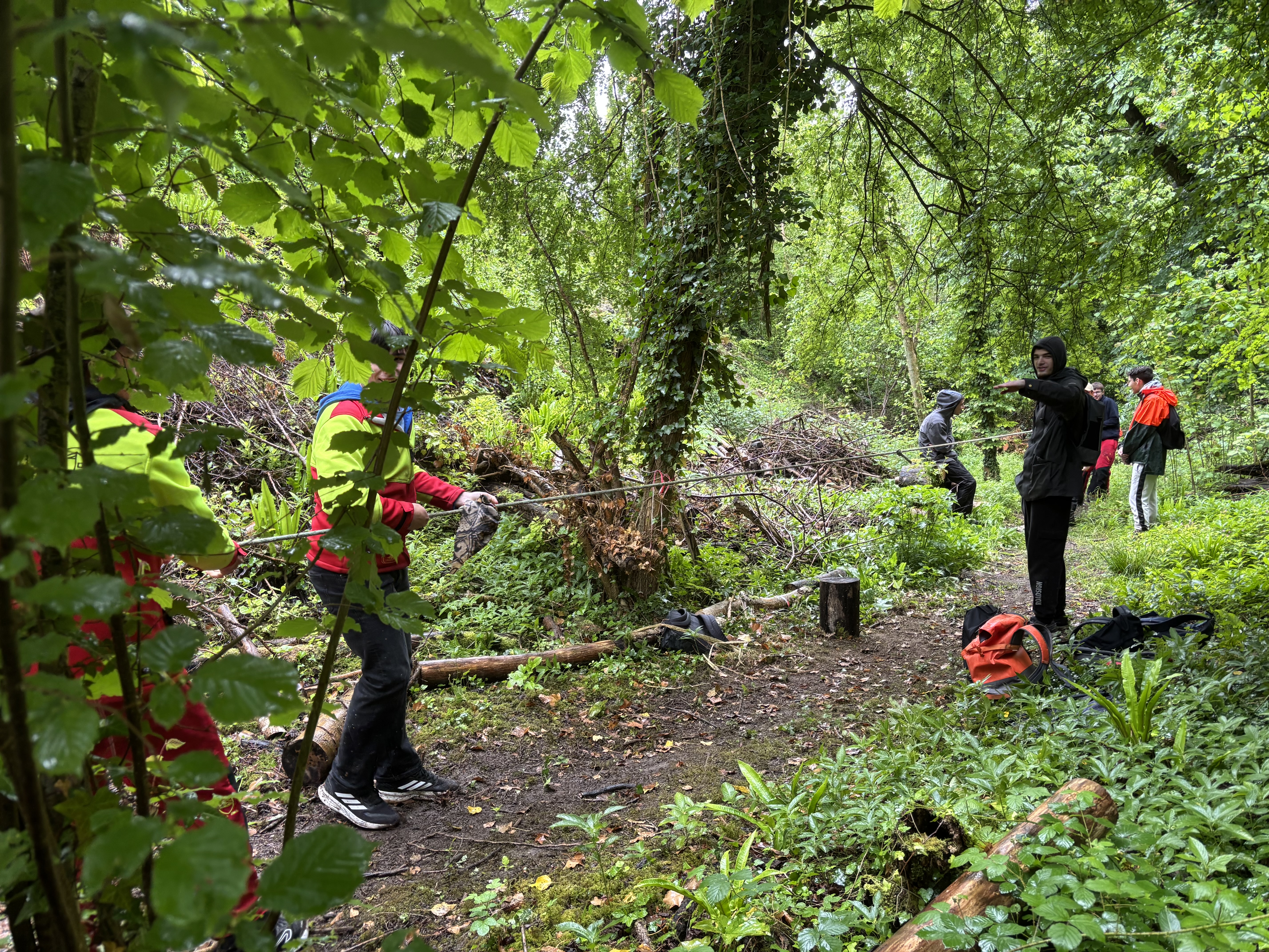 BAC PRO FORÊT