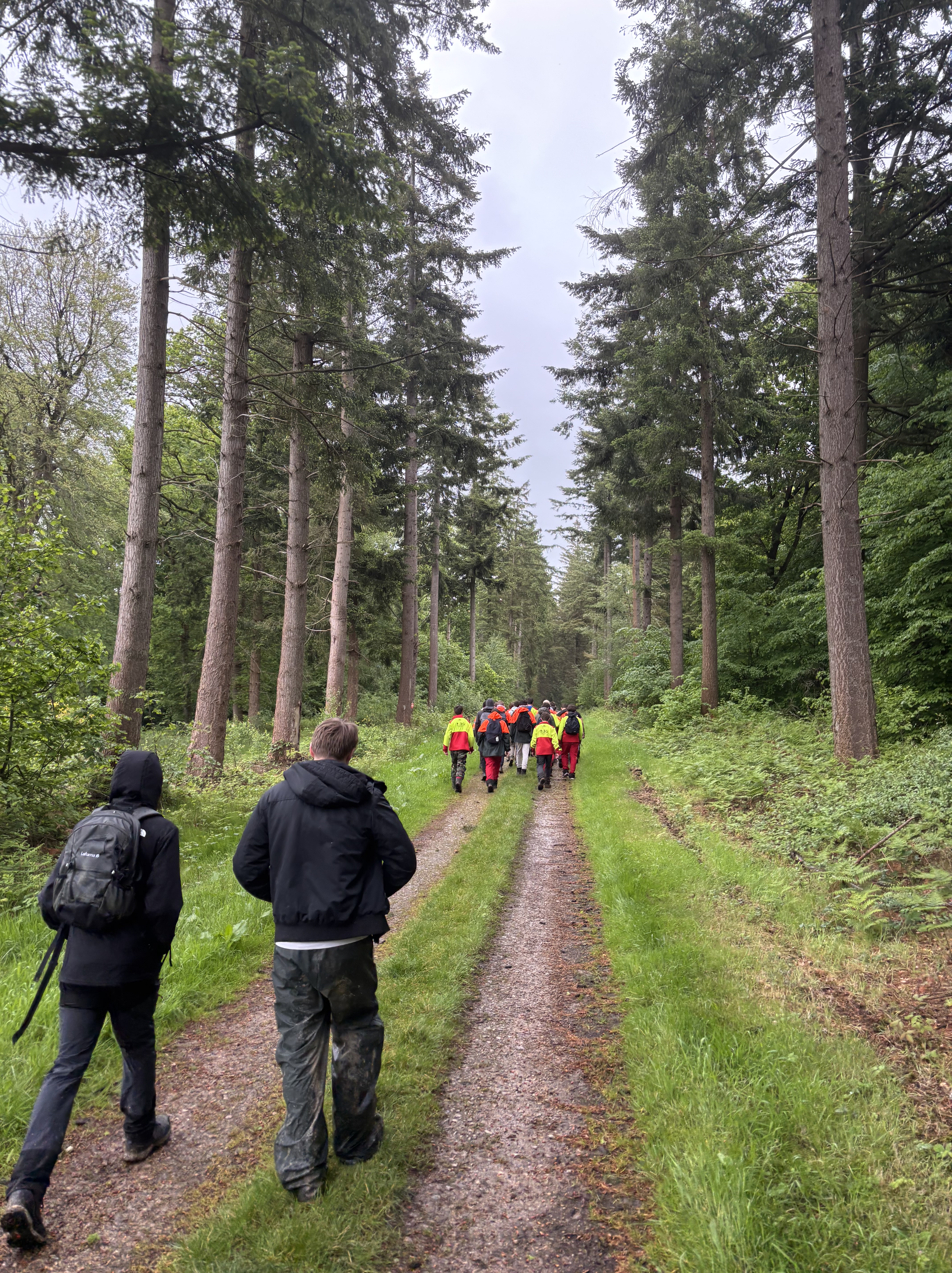 BAC PRO FORÊT