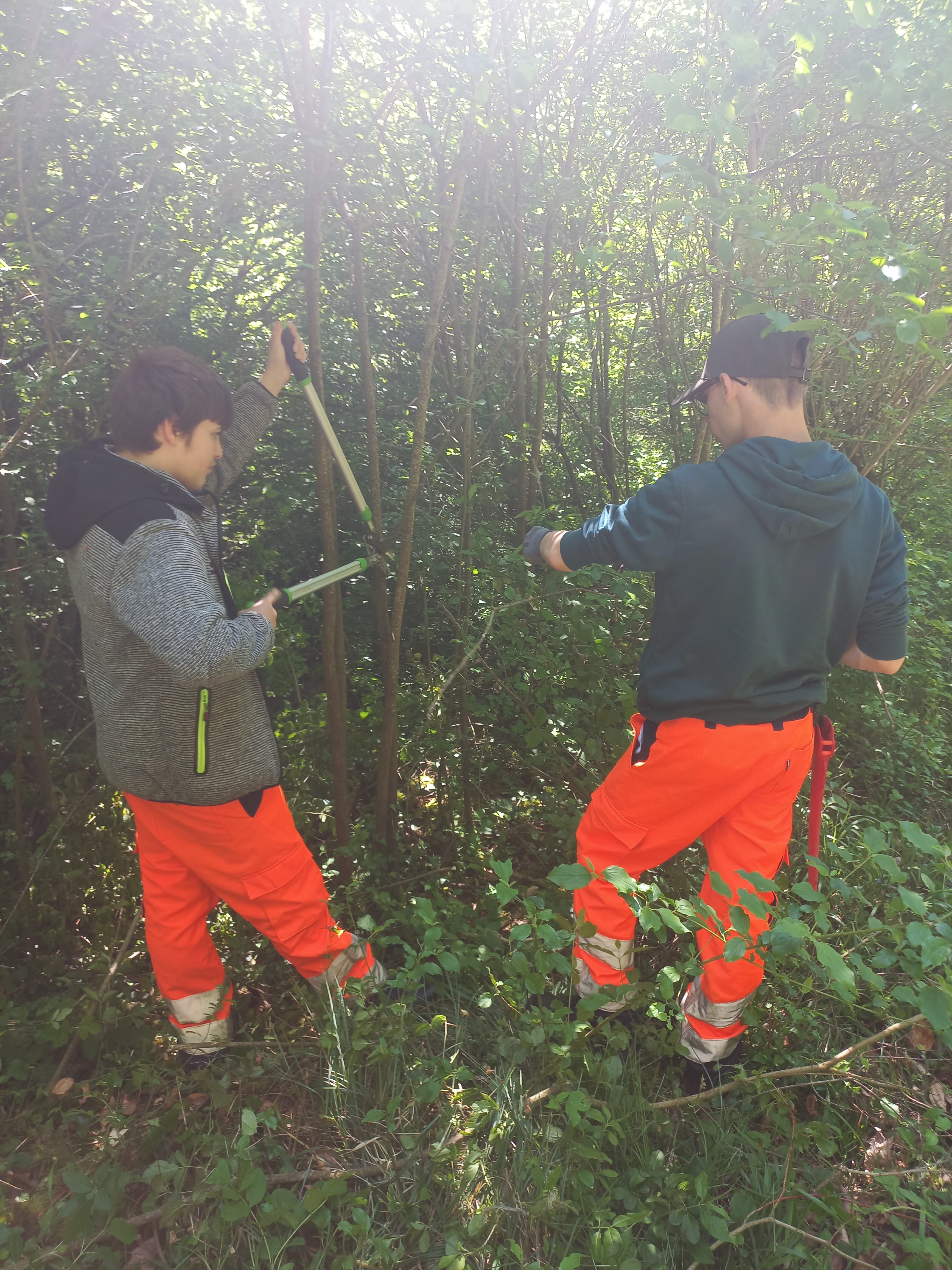 bac-pro-forêt.heic