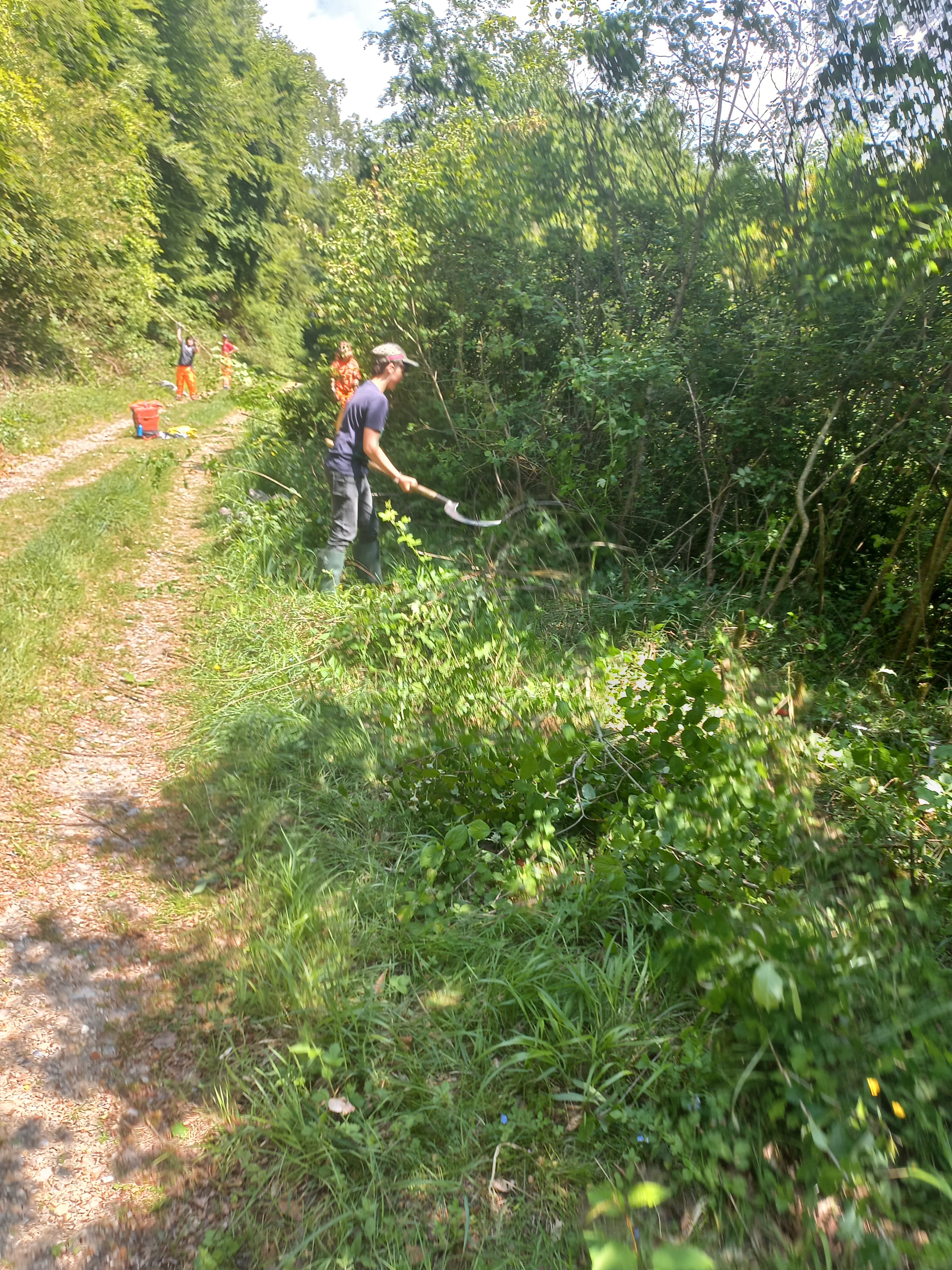 bac-pro-forêt.heic