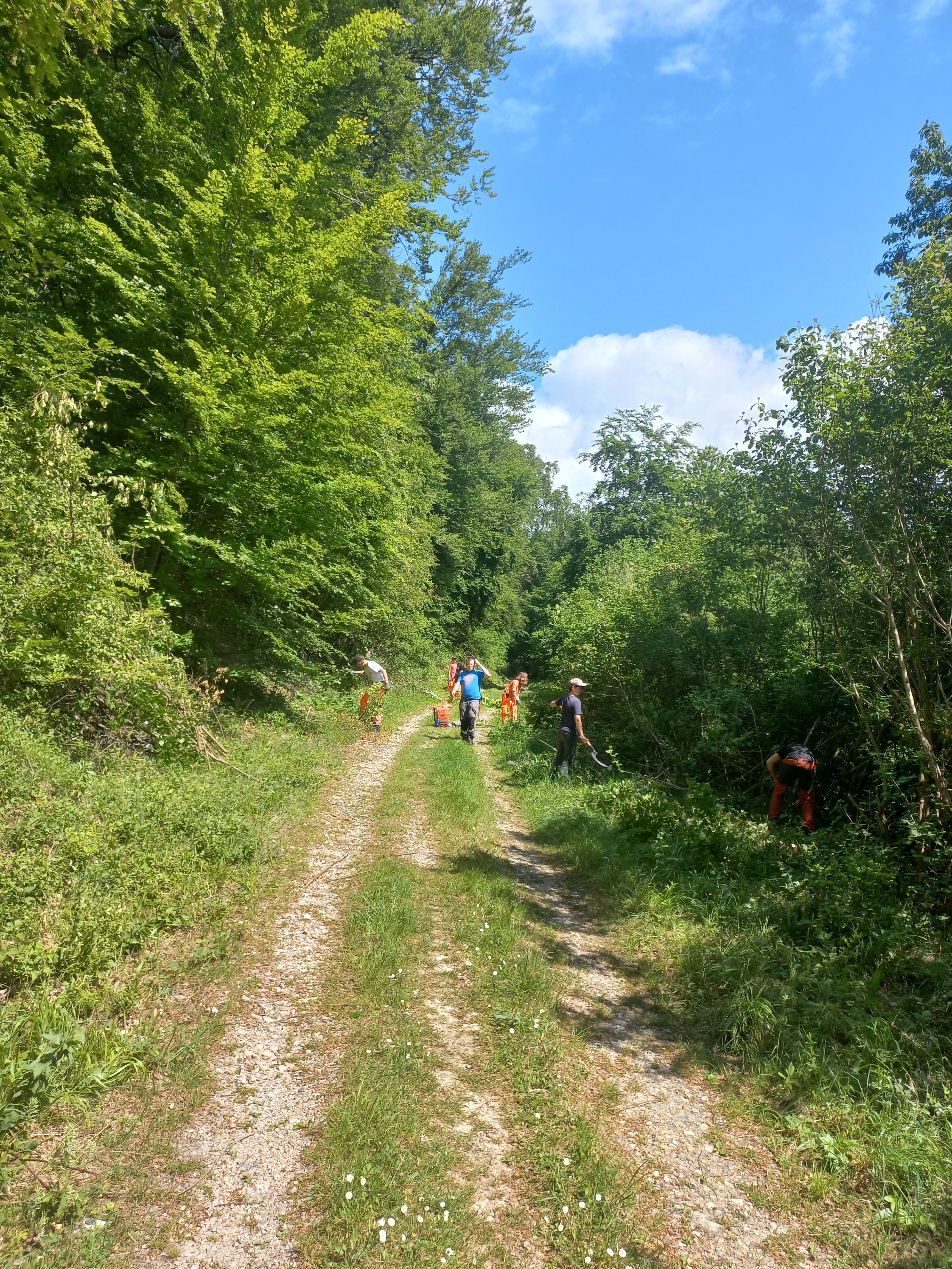 bac pro forêt