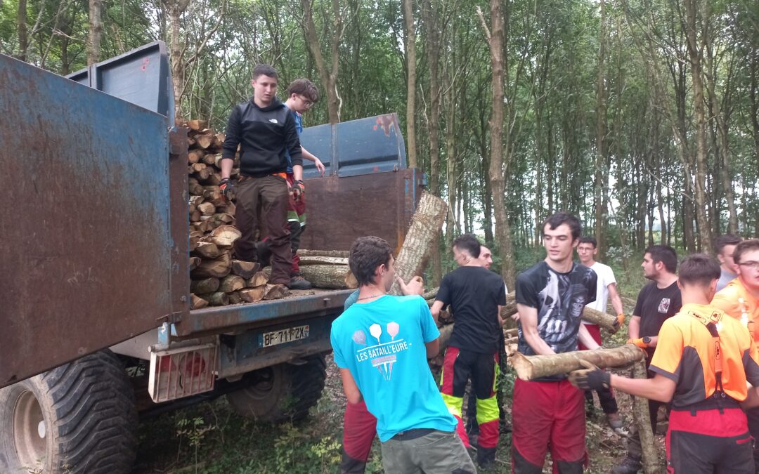 bac pro forêt