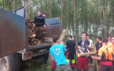 Du chantier à la scierie : un TP collaboratif au cœur de la forêt !